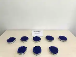 Doğu Anadolu'da 2 Milyon TL Değerinde Kaçak Botoks Operasyonu