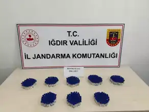 Doğu Anadolu Bölgesinde 508 Kaçak Botoks İlacı Ele Geçirildi