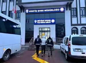 Iğdır'da Asayiş Operasyonu: 1 Tutuklama, Çok Sayıda İhlal Tespit Edildi