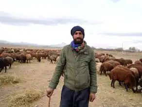 Doğu Anadolu'da Yayla Yolculuğu Son Buldu