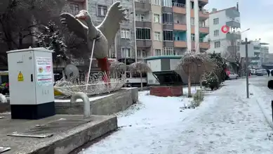 Iğdır'da İlk Kar: Beyaz Bir Sabah