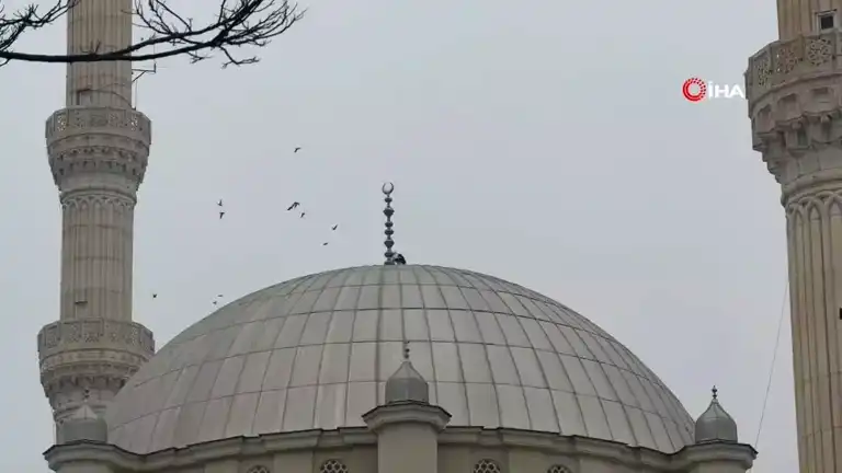 Iğdır'daki Leylekler Kışa Rağmen Gitmedi!