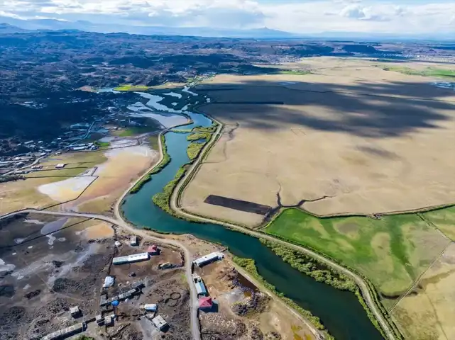 Doğu Anadolu'da 348 Kuş Türü Saptandı!