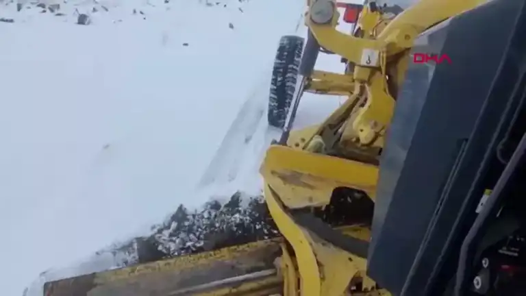 Iğdır'da Kar Yağışı Hayvanları Mahsur Bıraktı