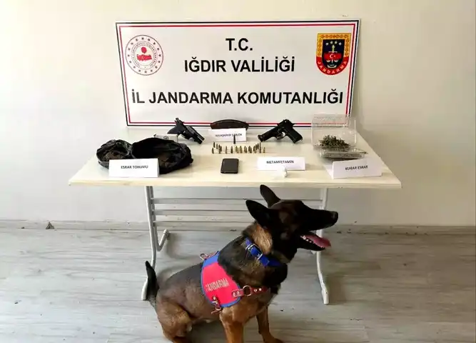 Iğdır'da Jandarma Uyuşturucu Operasyonu: Şüpheli Yakalandı
